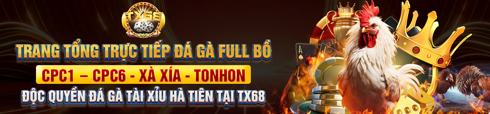banner tx68
