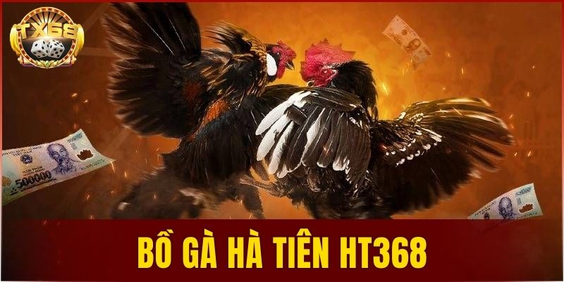 Bồ gà Hà Tiên HT368