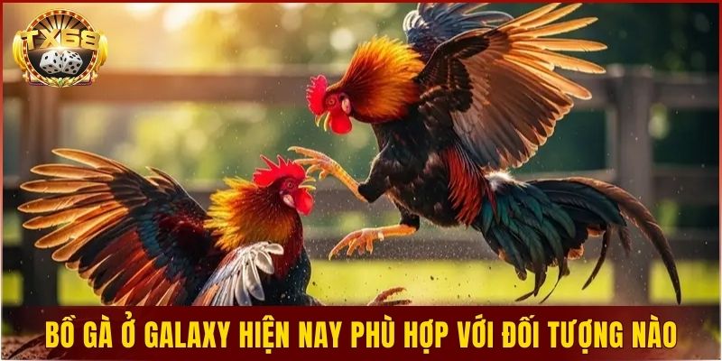Bồ gà ở Galaxy hiện nay phù hợp với những đối tượng nào?