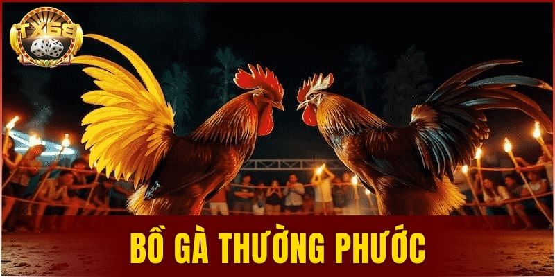 bồ gà Thường Phước
