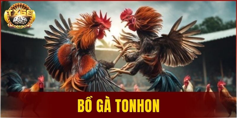 Bồ gà Tonhon