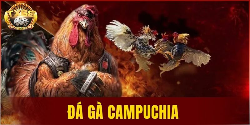 đá gà Campuchia