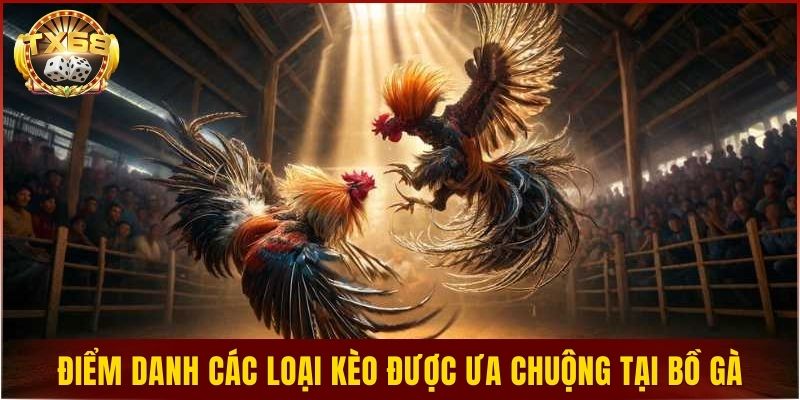 Điểm danh các loại kèo được ưa chuộng tại bồ gà 2026