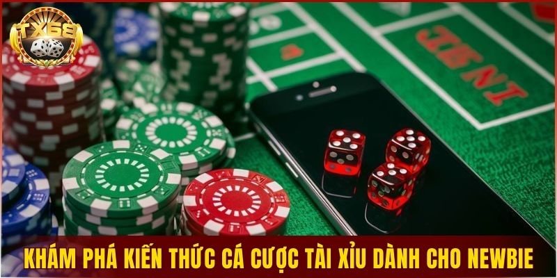 Khám phá kiến thức cá cược tài xỉu dành cho newbie