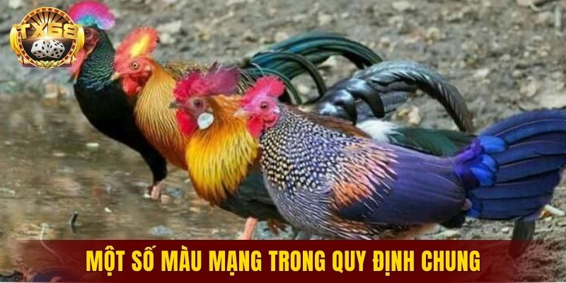 Một số màu mạng trong quy định chung