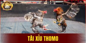 tài xỉu Thomo