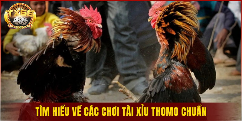 Tìm hiểu về các chơi tài xỉu Thomo chuẩn