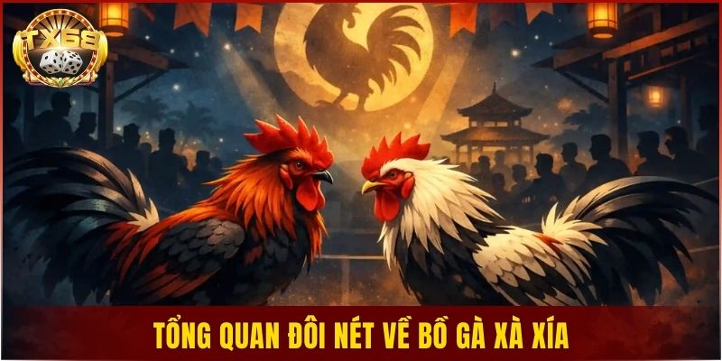 Tổng quan đôi nét về bồ gà Xà Xía
