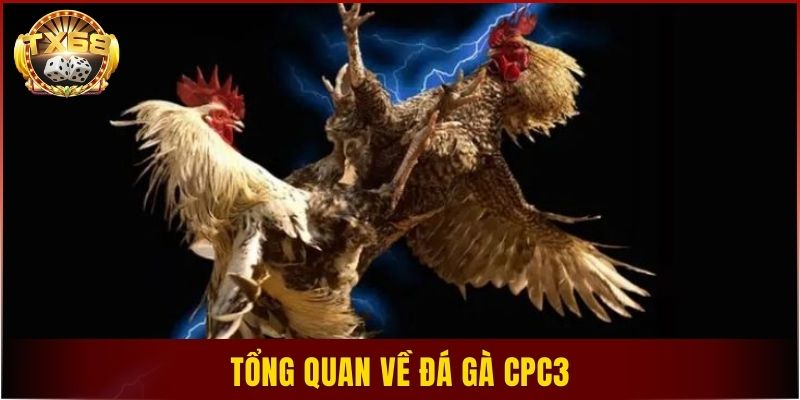 Tổng quan về đá gà CPC3