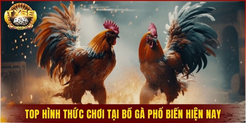 Top hình thức chơi tại bồ gà phổ biến hiện nay