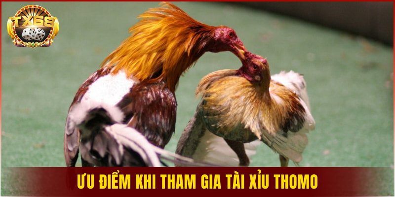 Ưu điểm khi tham gia tài xỉu Thomo