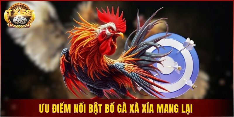 Ưu điểm nổi bật bồ gà Xà Xía mang lại